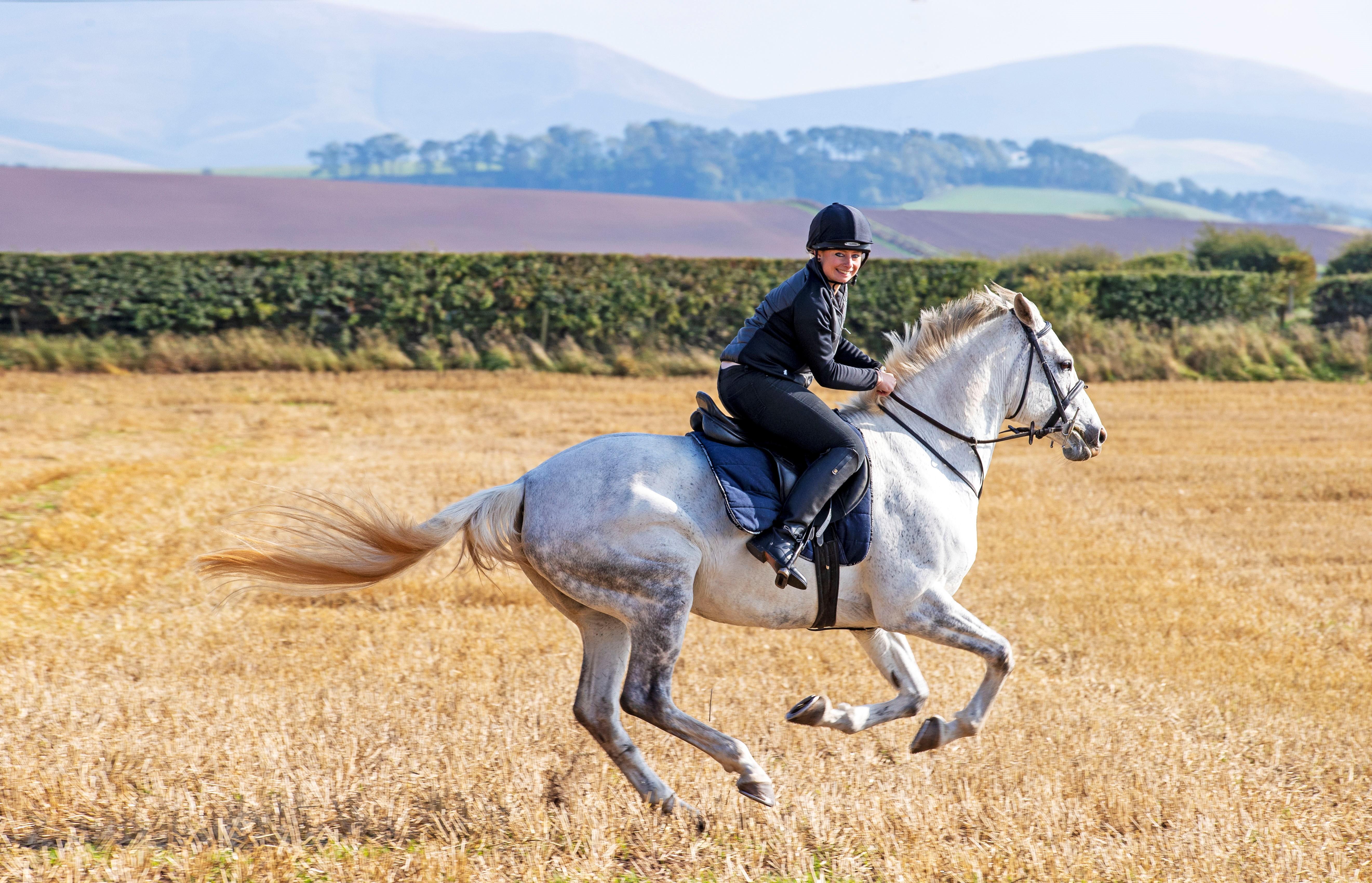 Schloss Roxburghe, Part Of Destination By Hyatt Eksteriør billede A rider on a purebred Spanish horse